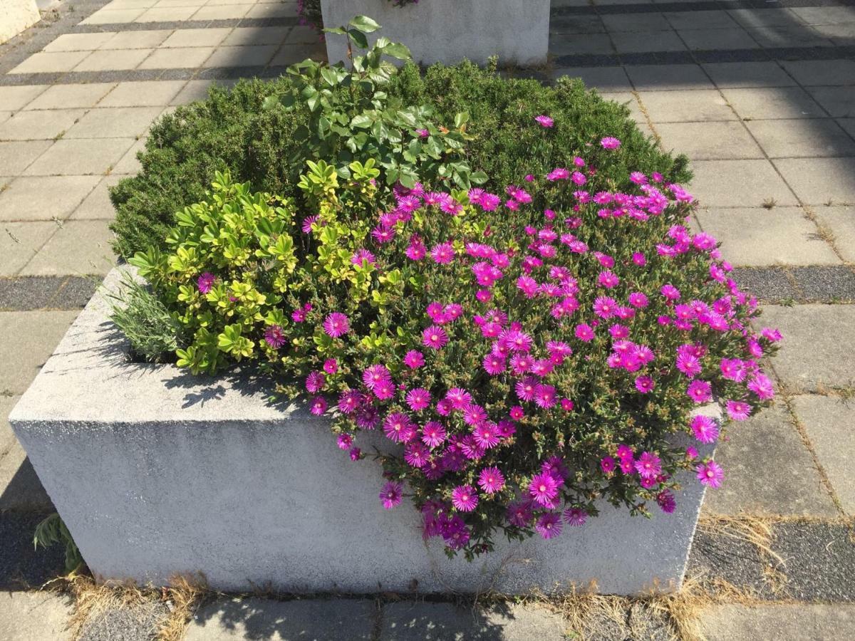 Apartment West Рийека Екстериор снимка